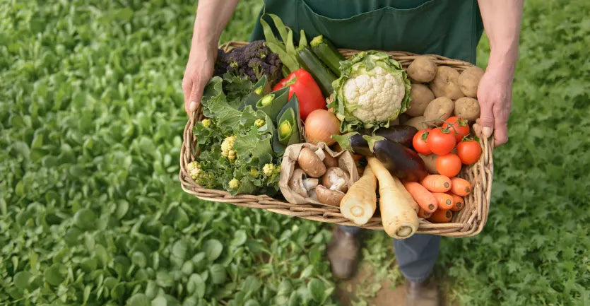 17. The Sustainability Of Agritourism